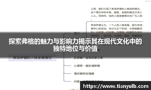 探索弗格的魅力与影响力揭示其在现代文化中的独特地位与价值